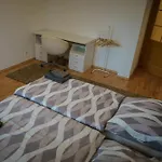 Spacious For Teams & Families With Balcony, Fast Wifi Near Center Bratislava