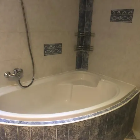 Spacious With A Fireplace In The * Bratislava