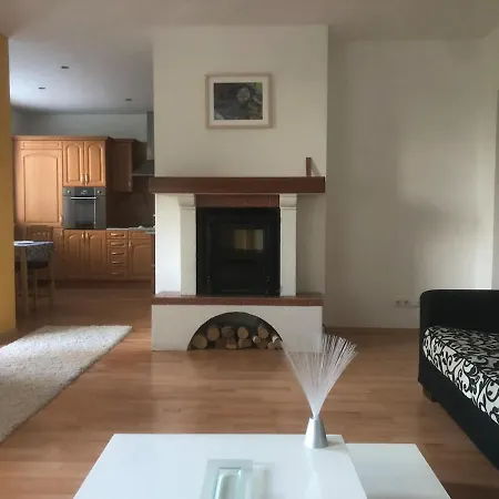 Apartment Spacious With A Fireplace In The