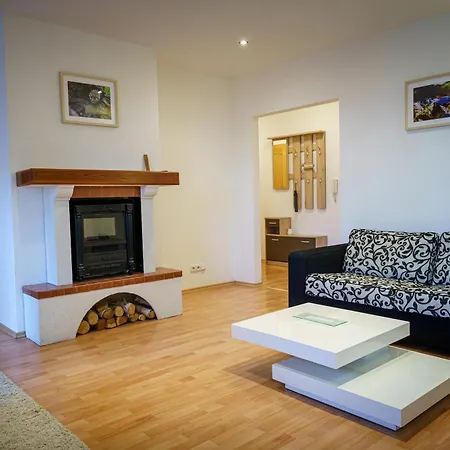 Spacious With A Fireplace In The * Pressburg