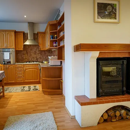 Spacious With A Fireplace In The Apartment Bratislava