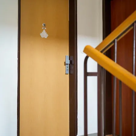 Spacious With A Fireplace In The *