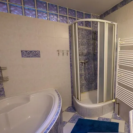 Apartment Spacious With A Fireplace In The *