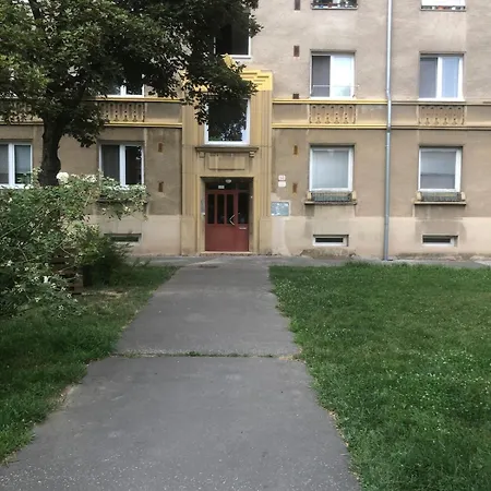 Spacious With A Fireplace In The *