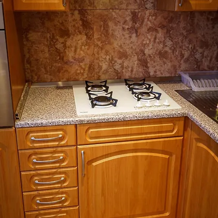 Apartment Spacious With A Fireplace In The Bratislava
