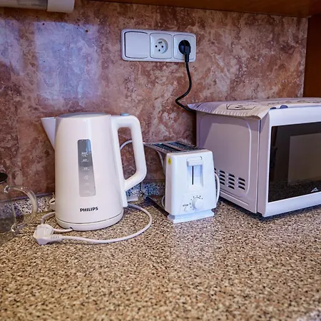 Spacious With A Fireplace In The Bratislava