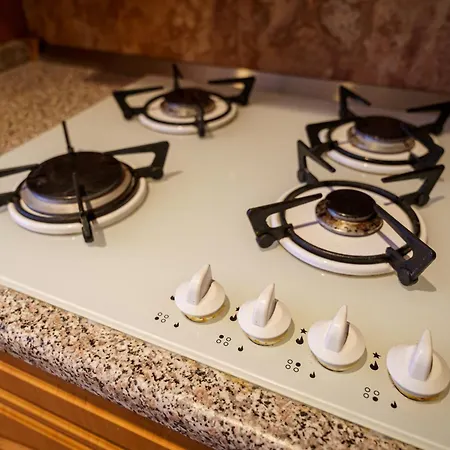 Lägenhet Spacious With A Fireplace In The