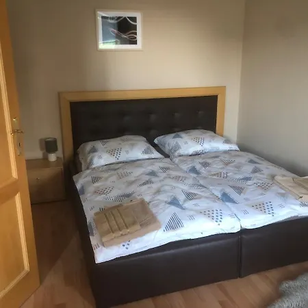 Spacious With A Fireplace In The Bratislava