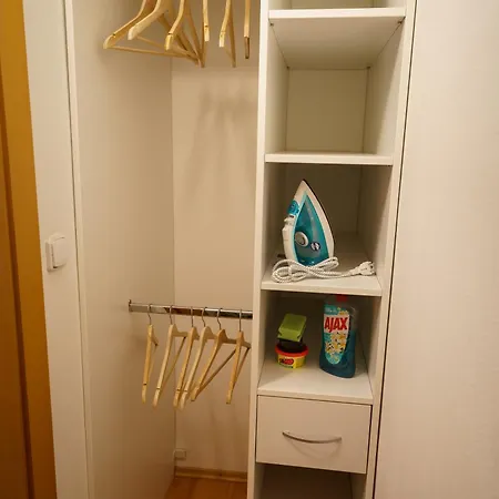 Apartment Spacious With A Fireplace In The *