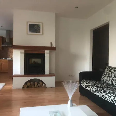 Spacious With A Fireplace In The *