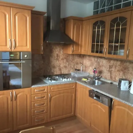 Spacious With A Fireplace In The * Bratislava