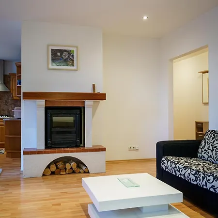 Spacious With A Fireplace In The Pressburg