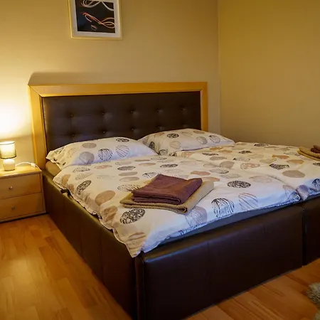 Spacious With A Fireplace In The Apartment Bratislava