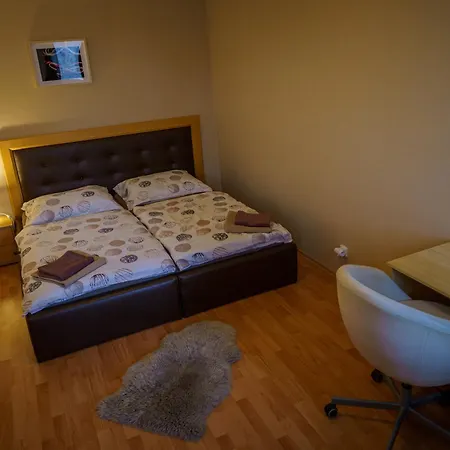 Spacious With A Fireplace In The Pressburg