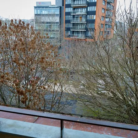 Spacious With A Fireplace In The