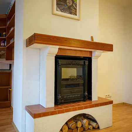 Apartment Spacious With A Fireplace In The