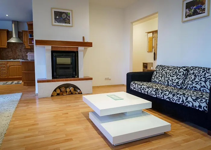 Spacious With A Fireplace In The *