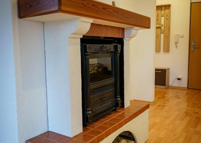 Spacious With A Fireplace In The *