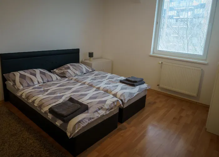 Spacious With A Fireplace In The Appartement Bratislava