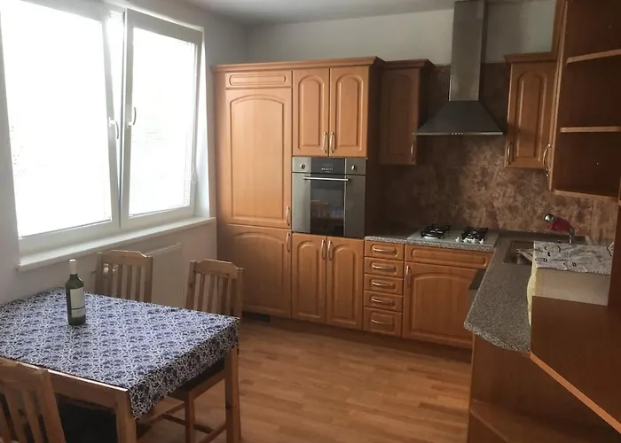 Spacious With A Fireplace In The Appartement *