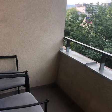 Spacious With A Fireplace In The Apartment