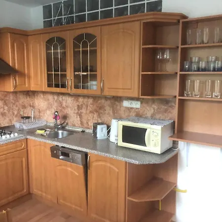 Spacious With A Fireplace In The Bratislava