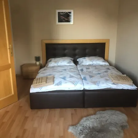 Spacious With A Fireplace In The Apartment