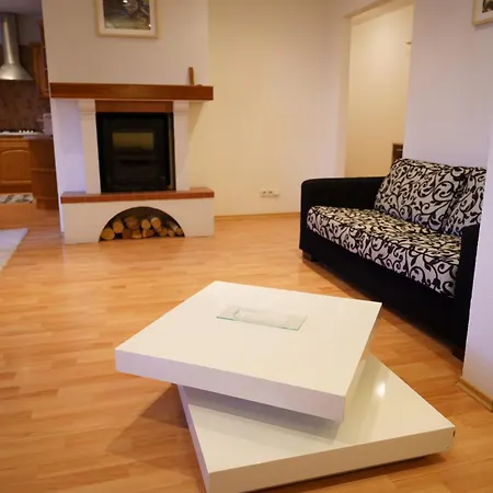 Apartment Spacious With A Fireplace In The *