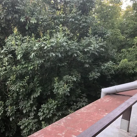 Spacious With A Fireplace In The * Bratislava