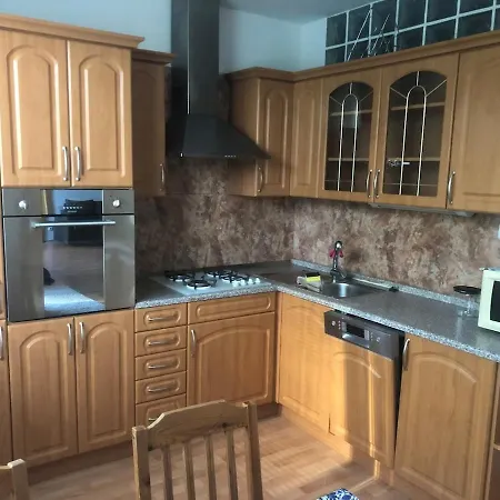 Spacious With A Fireplace In The Apartment