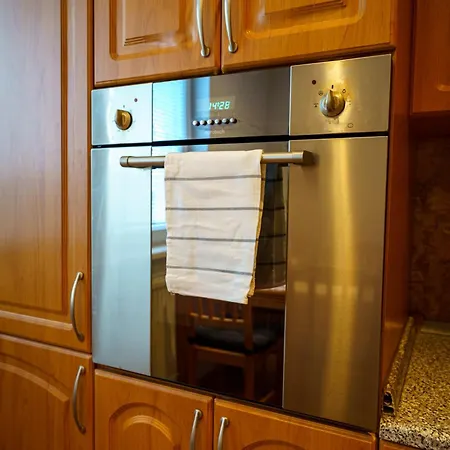 Spacious With A Fireplace In The Apartament