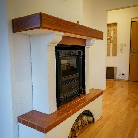 Spacious With A Fireplace In The *