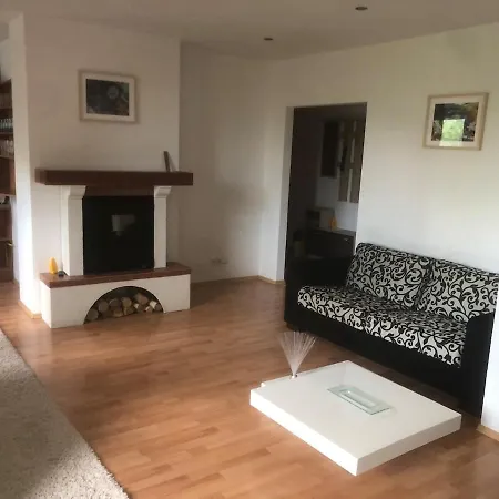 Spacious With A Fireplace In The