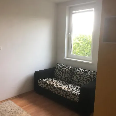 Spacious With A Fireplace In The Apartament *