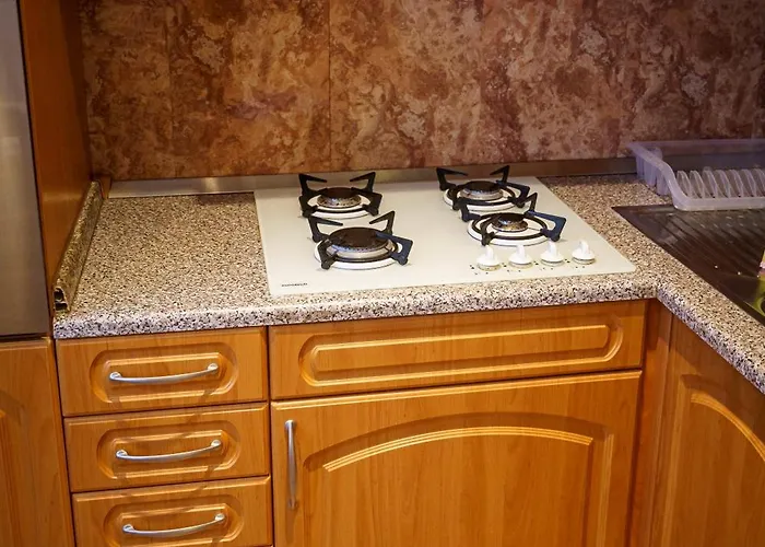 شقة Spacious With A Fireplace In The براتسيلافا