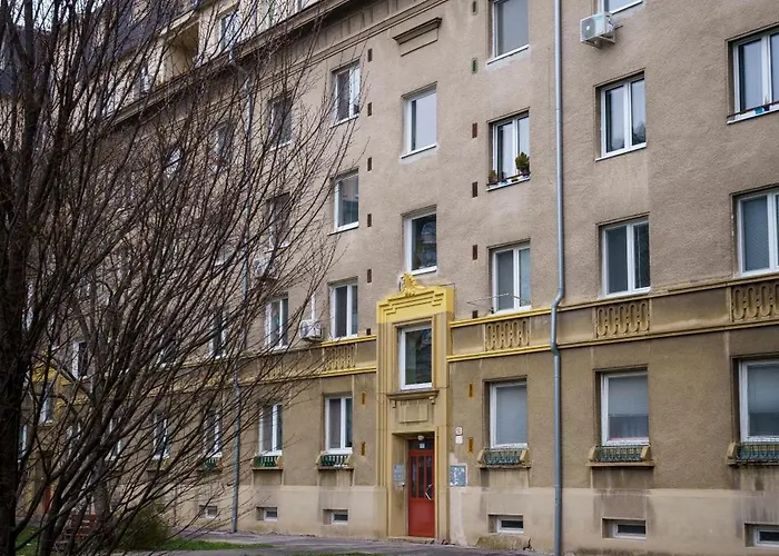 Spacious With A Fireplace In The